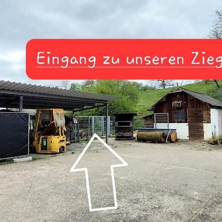 Ferienwohnung/Monteurzimmer Auf Dem Bauernhof Moerlenbach ภายนอก รูปภาพ