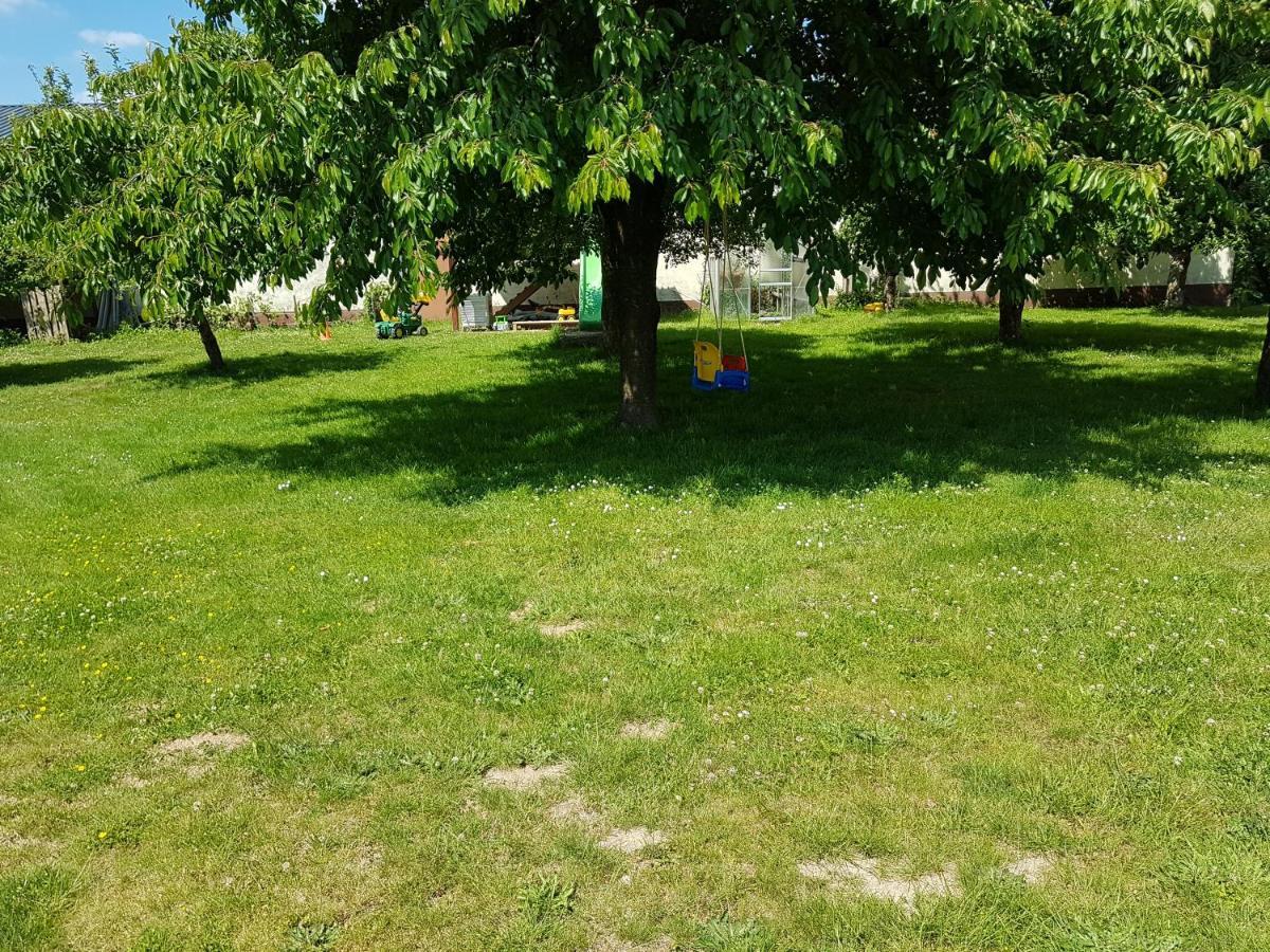 Ferienwohnung/Monteurzimmer Auf Dem Bauernhof Moerlenbach ภายนอก รูปภาพ