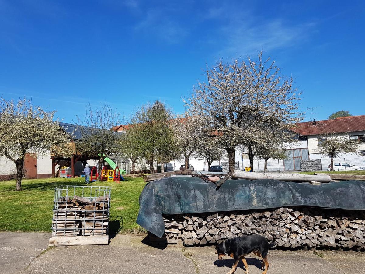 Ferienwohnung/Monteurzimmer Auf Dem Bauernhof Moerlenbach ภายนอก รูปภาพ