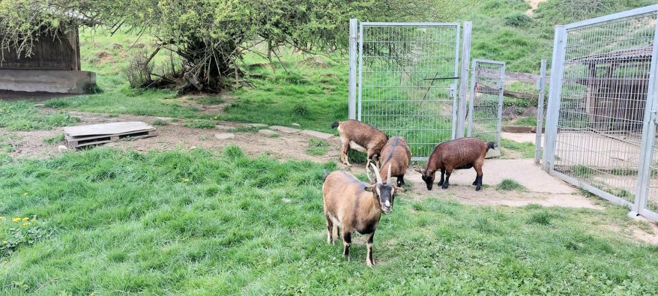 Ferienwohnung/Monteurzimmer Auf Dem Bauernhof Moerlenbach ภายนอก รูปภาพ