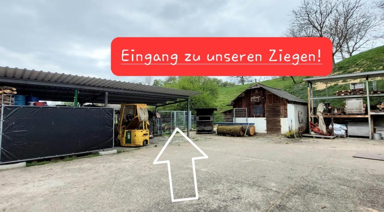 Ferienwohnung/Monteurzimmer Auf Dem Bauernhof Moerlenbach ภายนอก รูปภาพ